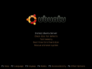 Ubuntu Server v9.04 Installation